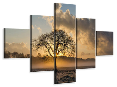 3-piece-canvas-print-a-lonely-tree