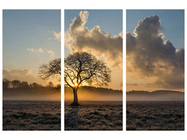 4-piece-canvas-print-a-lonely-tree