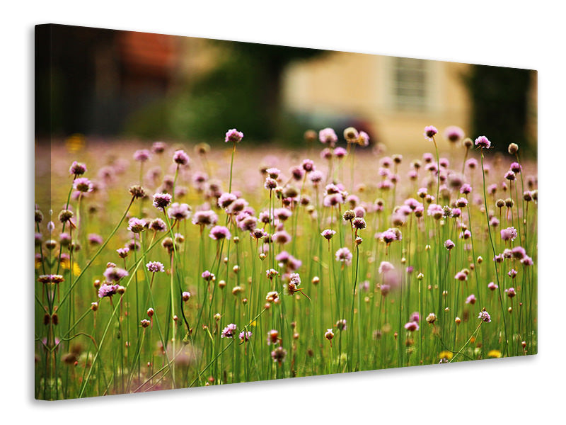 modern-4-piece-canvas-print-a-meadow-full-of-flowers