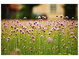 4-piece-canvas-print-a-meadow-full-of-flowers