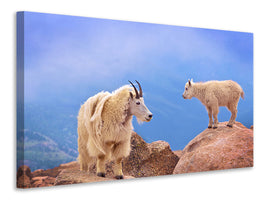 5-piece-canvas-print-a-mothers-smile