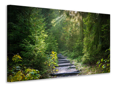 3-piece-canvas-print-a-path-between-firs