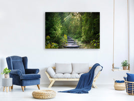 3-piece-canvas-print-a-path-between-firs