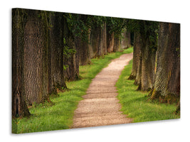 3-piece-canvas-print-a-path-in-the-forest
