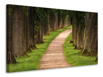 3-piece-canvas-print-a-path-in-the-forest