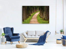 4-piece-canvas-print-a-path-in-the-forest