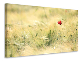 modern-3-piece-canvas-print-a-poppy