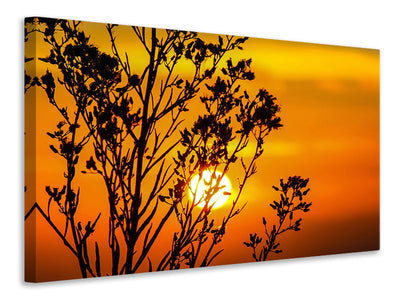 3-piece-canvas-print-a-shrub-in-the-sunset