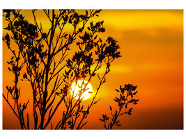 5-piece-canvas-print-a-shrub-in-the-sunset