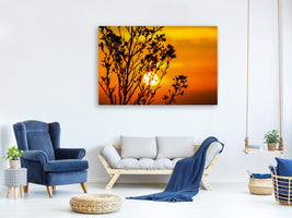 modern-4-piece-canvas-print-a-shrub-in-the-sunset