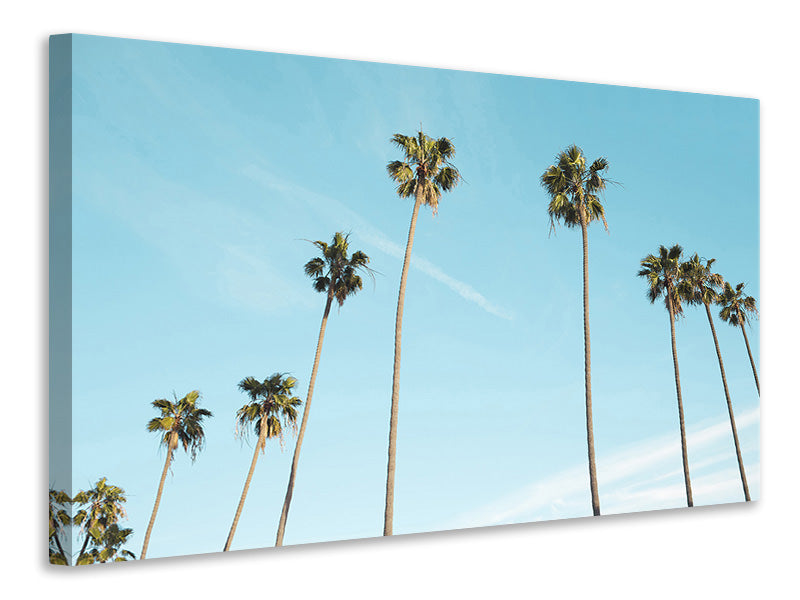 3-piece-canvas-print-a-sky-full-of-palm-trees