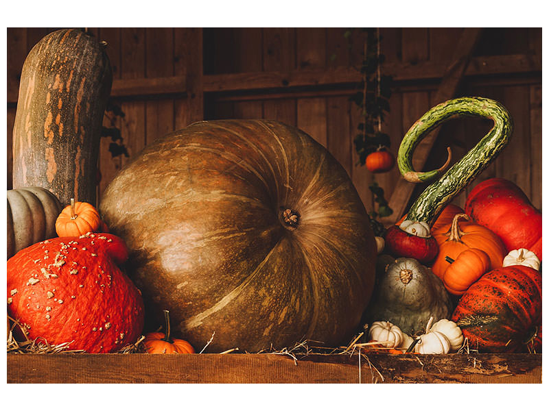 4-piece-canvas-print-a-still-life
