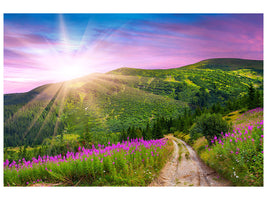 modern-4-piece-canvas-print-a-summer-landscape-at-sunrise