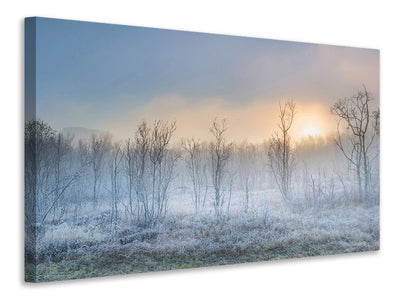 panoramic-canvas-print-a-touch-of-winter