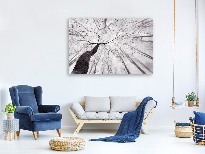 3-piece-canvas-print-a-view-of-the-tree-crown