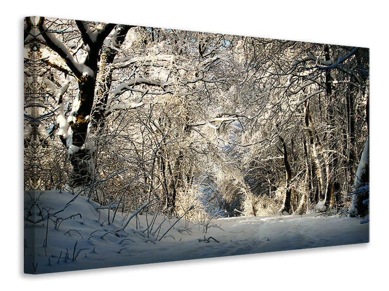 3-piece-canvas-print-a-winter-dream
