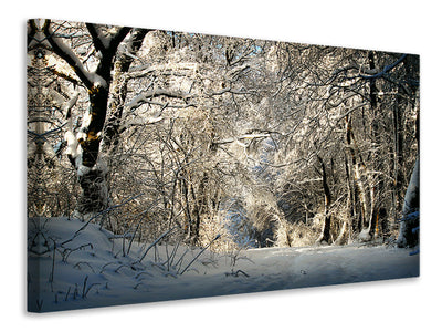 3-piece-canvas-print-a-winter-dream