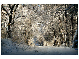 modern-3-piece-canvas-print-a-winter-dream