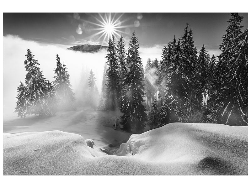 5-piece-canvas-print-a-winter-tale