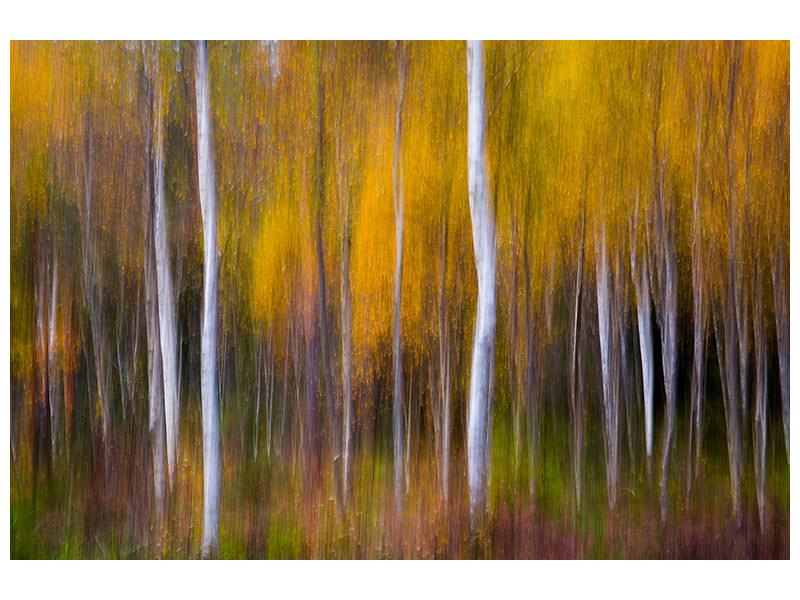 3-piece-canvas-print-abstract-fall