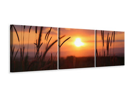 3-piece-canvas-print-adorable-sunset