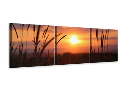 3-piece-canvas-print-adorable-sunset