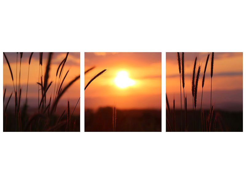 canvas-print-adorable-sunset