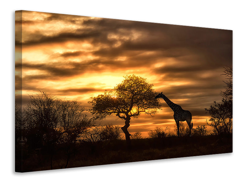 4-piece-canvas-print-african-dreams