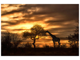 5-piece-canvas-print-african-dreams