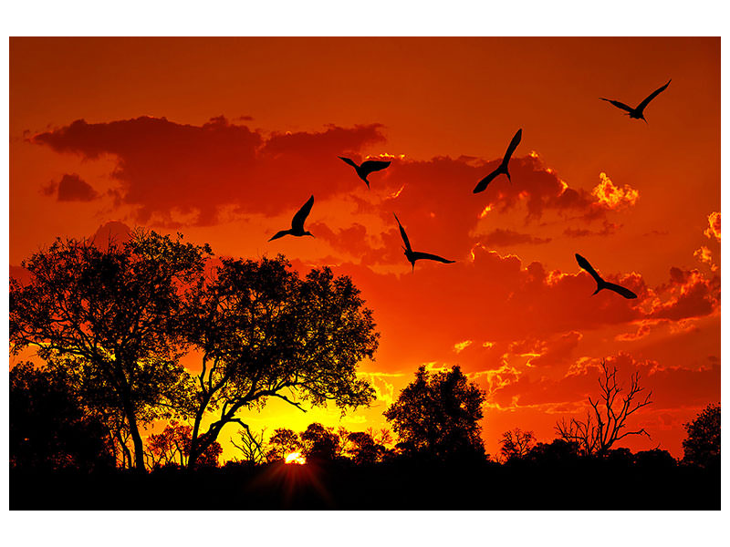 modern-4-piece-canvas-print-african-feeling
