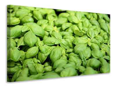 4-piece-canvas-print-all-basil
