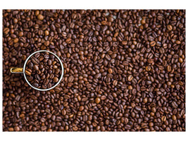 panoramic-canvas-print-all-coffee-beans