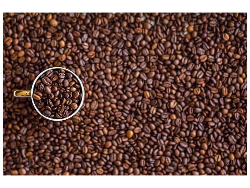 panoramic-canvas-print-all-coffee-beans