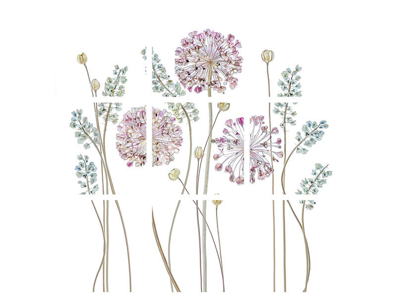4-piece-canvas-print-allium-a