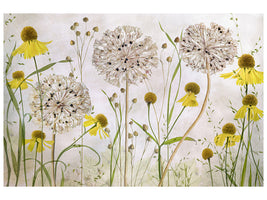 3-piece-canvas-print-alliums-and-heleniums