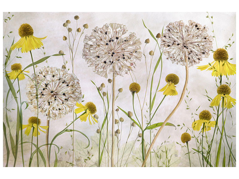 modern-4-piece-canvas-print-alliums-and-heleniums