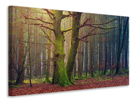 5-piece-canvas-print-alone-in-the-woods