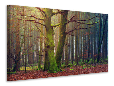 4-piece-canvas-print-alone-in-the-woods