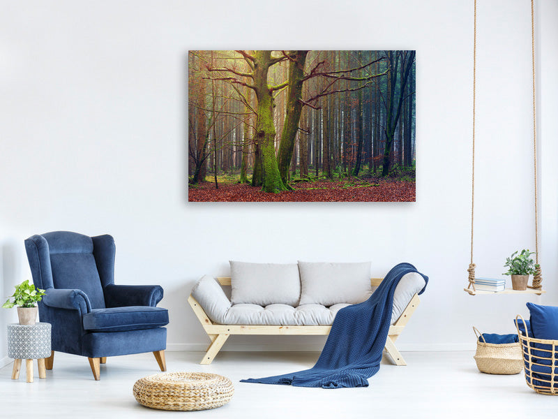 3-piece-canvas-print-alone-in-the-woods