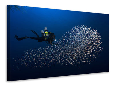 3-piece-canvas-print-alvin-shoal