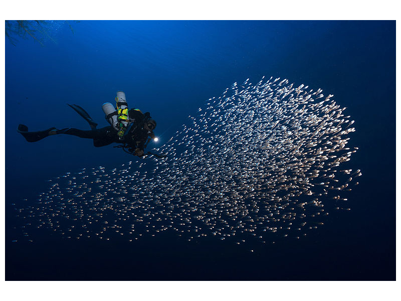 panoramic-canvas-print-alvin-shoal