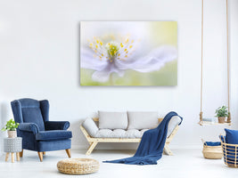 panoramic-3-piece-canvas-print-anemone-beauty