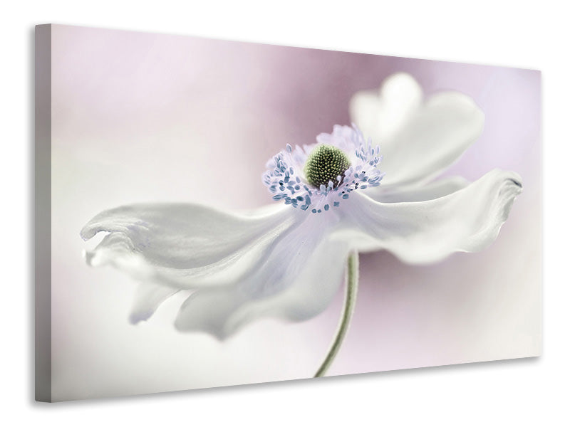 3-piece-canvas-print-anemone-breeze