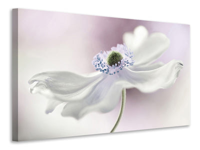 4-piece-canvas-print-anemone-breeze
