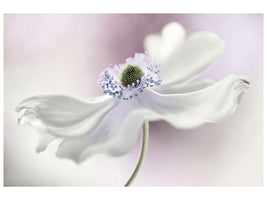 5-piece-canvas-print-anemone-breeze