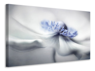 modern-3-piece-canvas-print-anemone-spirit