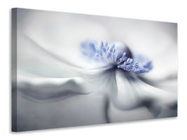 modern-4-piece-canvas-print-anemone-spirit