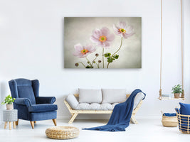 4-piece-canvas-print-anemones-ii