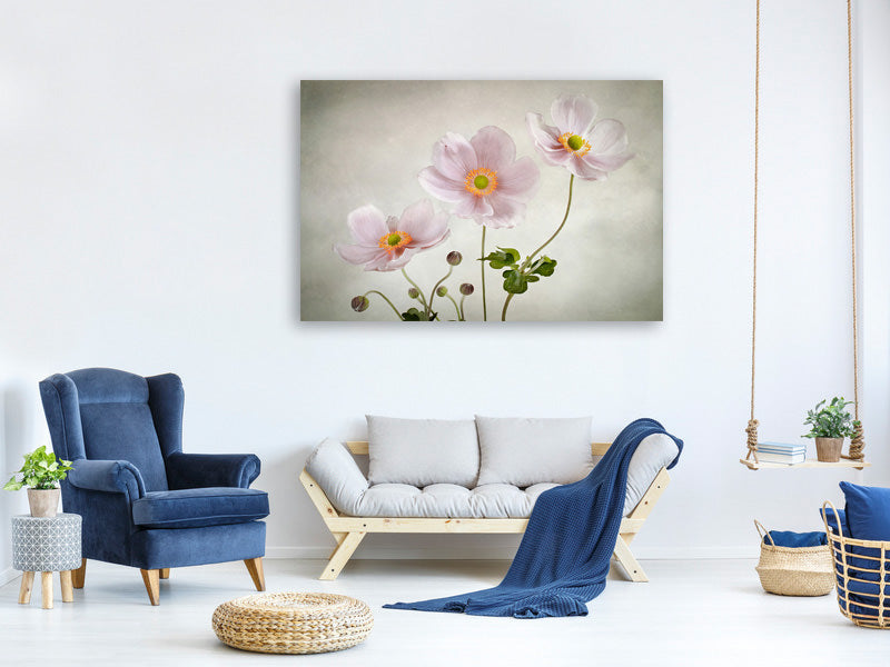 modern-3-piece-canvas-print-anemones-ii
