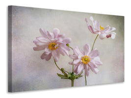 4-piece-canvas-print-anemones